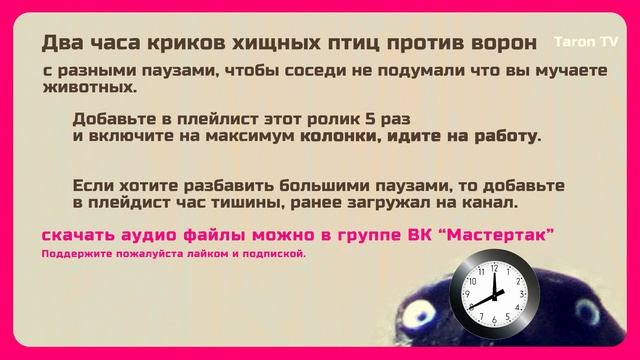 Звуки хищных птиц против ворон и голубей. Отпугиватель летающих вредителей. #2часовые смотреть онлайн