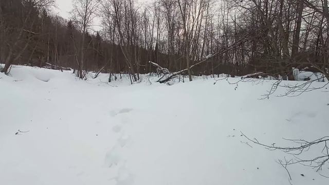 ДИКИЕ МЕСТА! Что скрывает таёжная речка? Опять провалился под лёд! смотреть онлайн