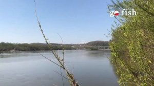 Река Раздольная (Суйфун) / Места рыбалки и отдыха / Уссурийск / Приморский край / Май