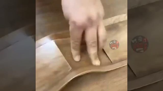 Как заделать отверстие в линолеуме смотреть онлайн