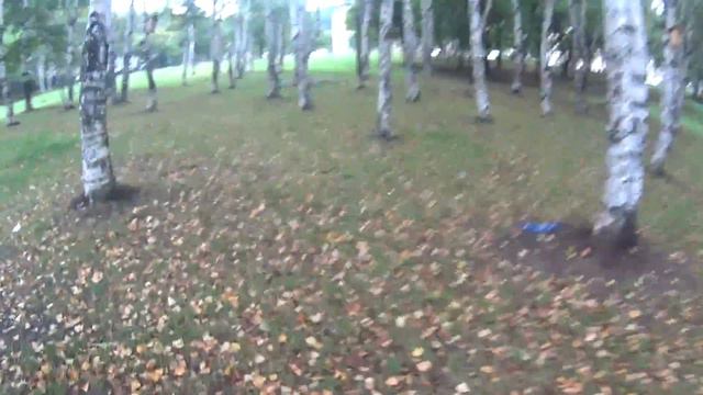 VLOG фокстерьер и бумеранг смотреть онлайн
