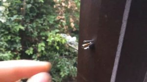 Как  установить пластиковые окна. Установка окон в металлический каркас