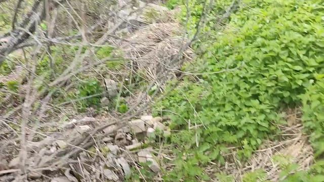 Стройматериалы подорожали. Сборка кирпича на заброшенной ферме. смотреть онлайн