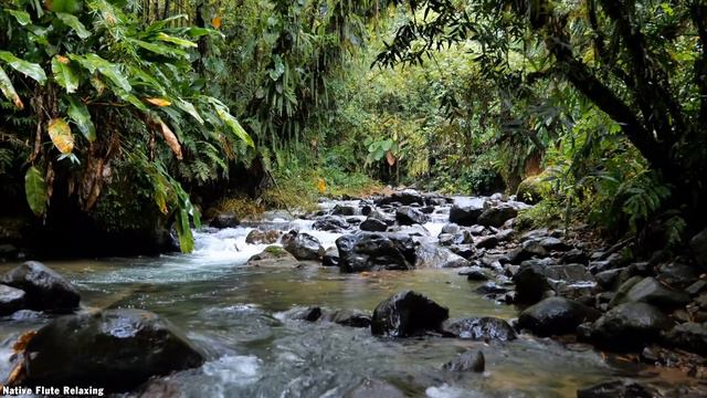 Native Flute Relaxing - Rain and Native American Flutes - Sound Nature Meditation, Sleep Sound смотреть онлайн