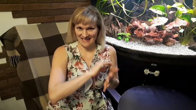 Развивающие игры с детьми в 4 месяца смотреть онлайн
