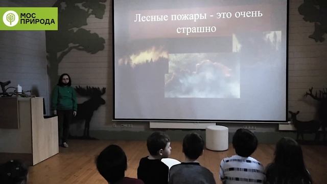 Интерактивное занятие "Предотвращение лесных пожаров" смотреть онлайн