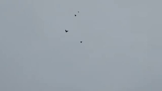 Николаевские голуби в Каменоломни 3 смотреть онлайн
