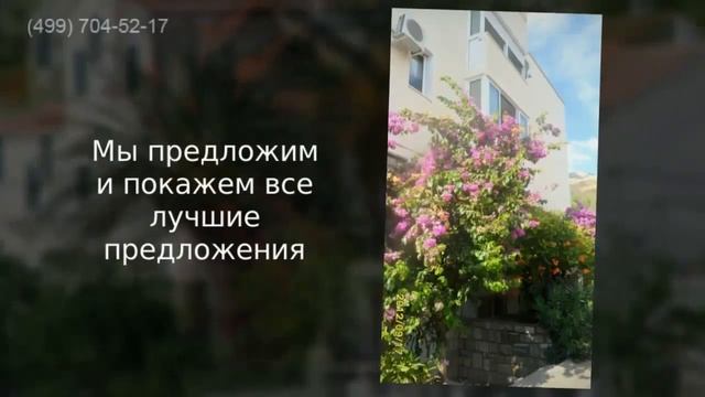 Полный спектр услуг по отдыху и недвижимости в Черногории