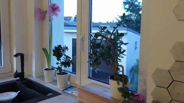 Фильтр для очистки воды/полочки для ?? ? смотреть онлайн