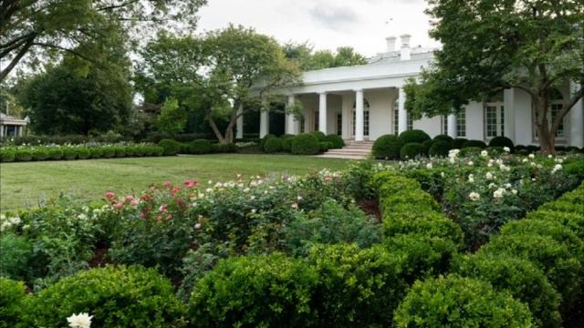 First Lady Melania Trump Unveils White House Rose Garden Restorations Ahead Of RNC смотреть онлайн