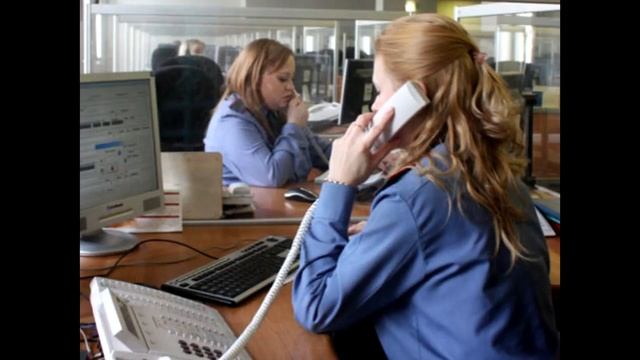 Звонок в полицию Мужчина в образе бобра смотреть онлайн