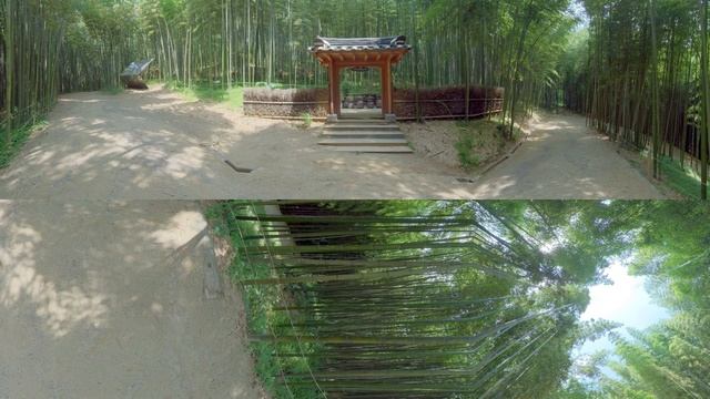 360° Video, Bamboo Forest in Damyang, South Korea, 8K VR video смотреть онлайн