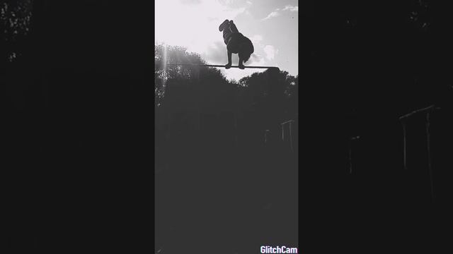 Полу луна на турнике смотреть онлайн