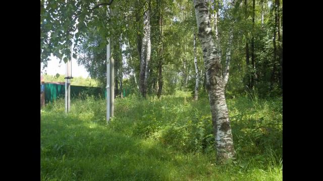 Участок 8 сот в д. Волосово, 55 км от МКАД по Симферопольскому шоссе смотреть онлайн