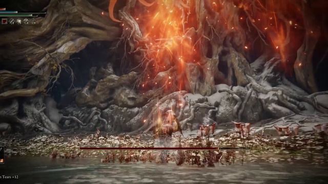 Elden Ring - Dual Daggers w/ Parry VS Malenia [No Hit Run, Faith Build] смотреть онлайн