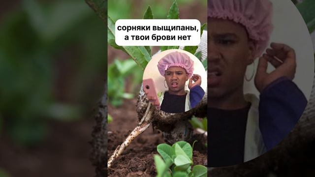 Запись на брови смотреть онлайн