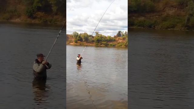 VID_20150901_145320.3gp смотреть онлайн