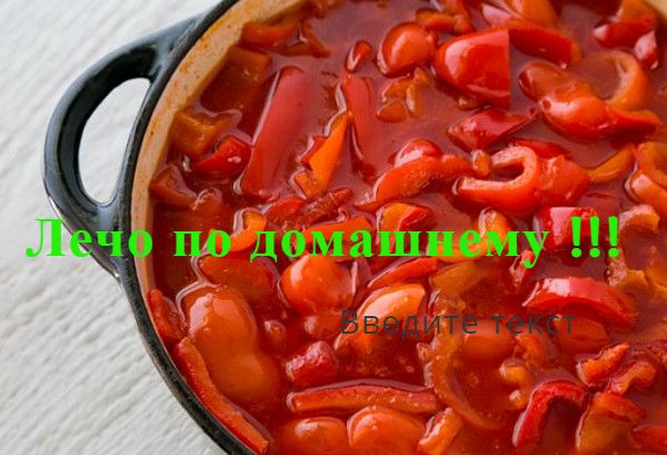 Все обо всем