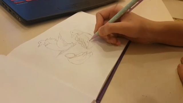 Рисую наброски животных.Часть 1.(Утка,медведь,белка). смотреть онлайн