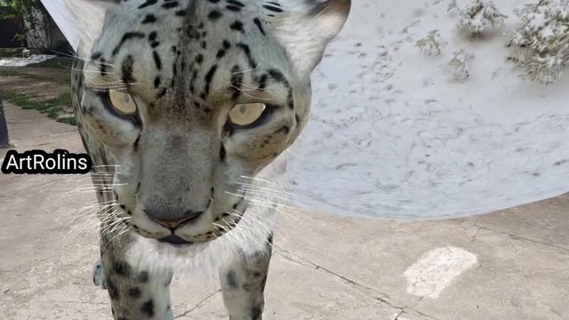 Барс в среде обитания.mp4