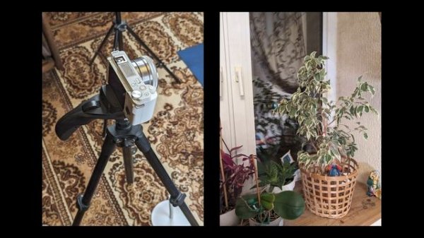 Pixel 8 спустя 418 часов - обзор!