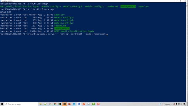 tf serving tutorial | tensorflow serving tutorial | Deep Learning Tutorial 48 (Tensorflow, Python) смотреть онлайн