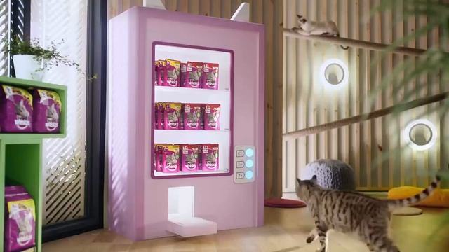 Всегда в расцвете сил инструкция для кошек в возрасте — WHISKAS К Т У смотреть онлайн