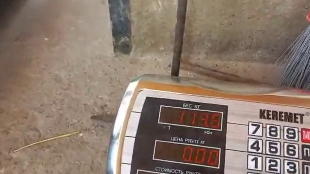 Сын Вованыча - взвешивание, возраст 1 год и месяц! Номер телефона+996550655037 смотреть онлайн