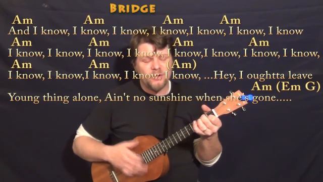 Ain't No Sunshine (Bill Withers) Bariuke Cover Lesson with Chords/Lyrics смотреть онлайн