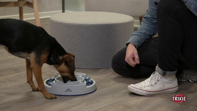TRIXIE Heimtierbedarf - Strategiespiel für Hunde und Katzen Slide & Feed смотреть онлайн