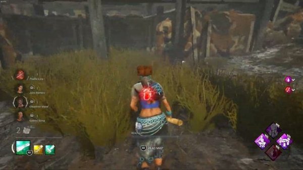 THE **NEW** LUCKY STAR META BUILD IN DBD!!!