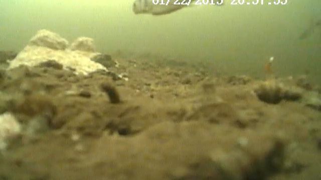 Зима 2015. Угличское водохранилище. смотреть онлайн