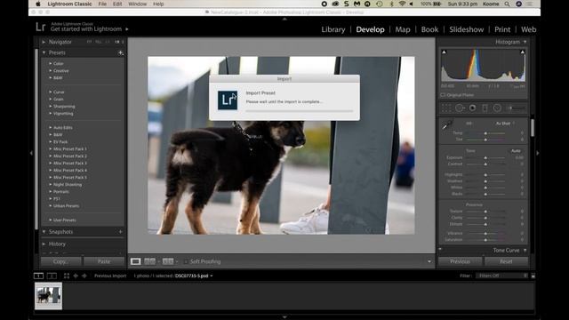 How To Turn Your Pics Into Bangers: Quick Lightroom Preset Installation | Tutorial | Curated Visual смотреть онлайн