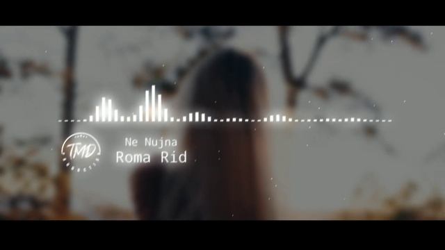Ne nujna - Roma Rid смотреть онлайн
