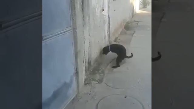 Дрочилка смотреть онлайн