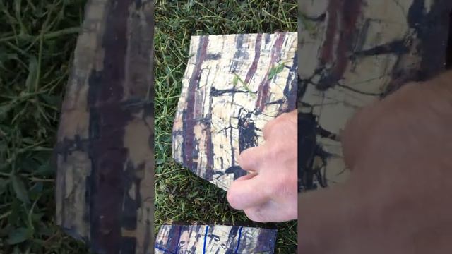 Калиновская пейзажная яшма смотреть онлайн