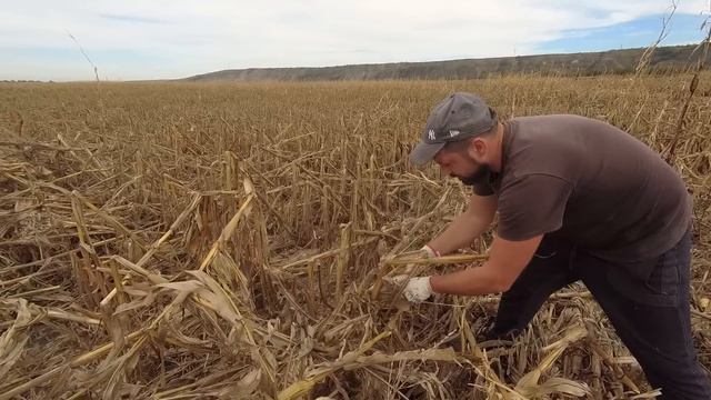 ВОТ как живут люди в РОССИЙСКОЙ ДЕРЕВНЕ | СТРОИМ ИЗ ЧЕГО ПОПАЛО, ЧЕМ КОРМИТЬ ХОЗЯЙСТВО БЕСПЛАТНО смотреть онлайн
