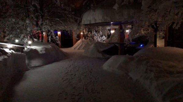 В ЛЕТНЕМ ПАРКЕ ЗИМА. февр 2018