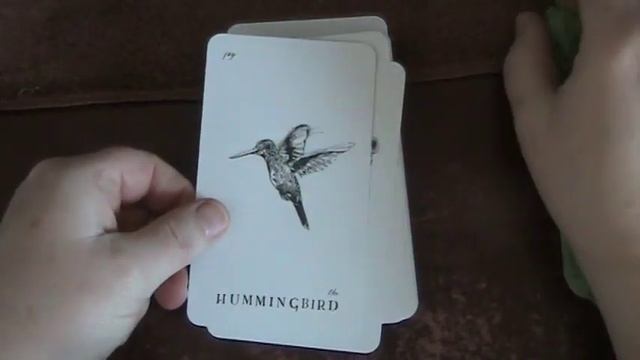 Unboxing Terra Oracle by Grün Eule смотреть онлайн