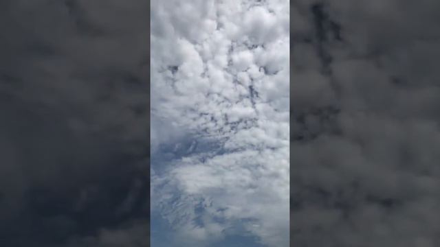 Цвет воды в Азовском море в Мариуполе смотреть онлайн