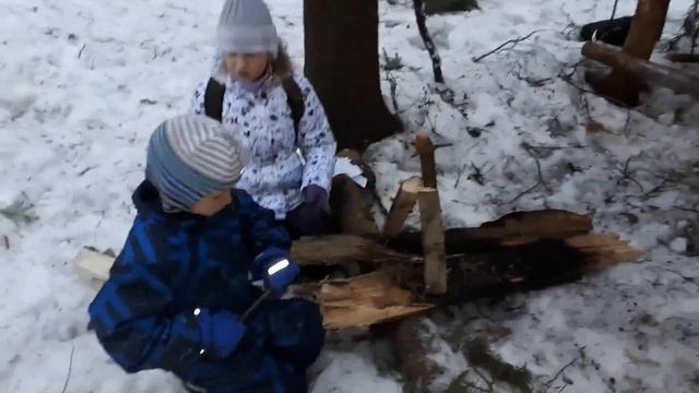 "Приключения в лесу" от "Фитнес-квеста"! смотреть онлайн