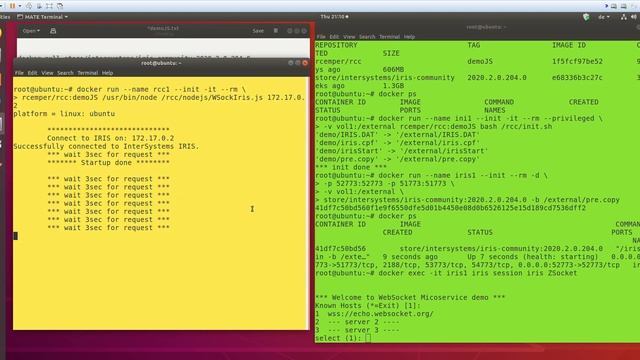 WebSocket Client JS with IRIS Native API as Docker Micro Server смотреть онлайн