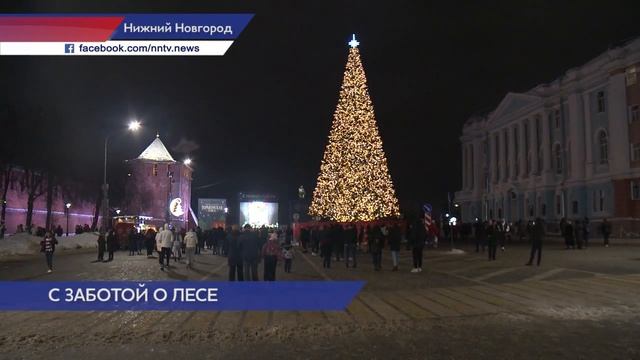 В Нижнем Новгороде отказались от живых елок смотреть онлайн