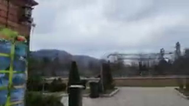 zoo nalchik 🤗🫰 смотреть онлайн