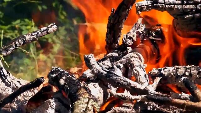 Пожарная безопасность в лесу смотреть онлайн