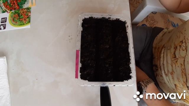 ОГОРОД НА ПОДОКОННИКЕ. ТОМАТЫ "МИНИБЕЛ" смотреть онлайн