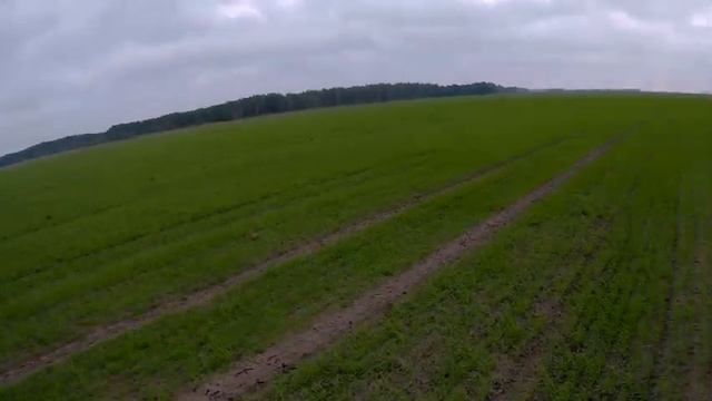 КРАСИВАЯ ОХОТА НА УТКУ С ПОДХОДА. Много утки на каналах 2020 смотреть онлайн