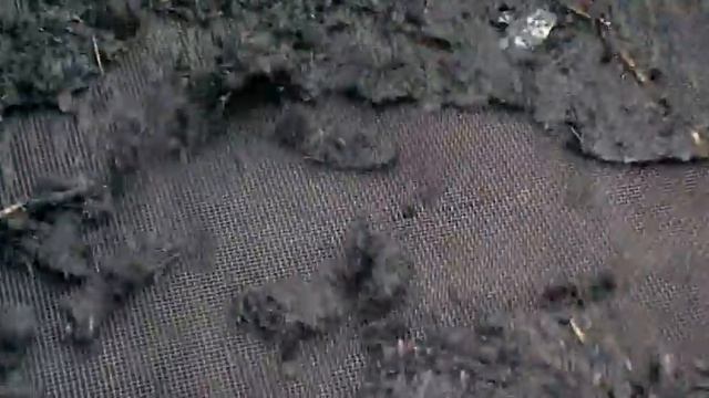 PROGROUPE sediment removal - знакомство с деятельностью компании смотреть онлайн
