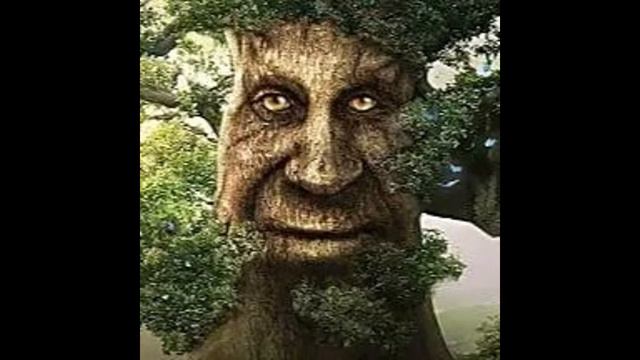 Wise Mystical Tree Song Secunda First Part Extended