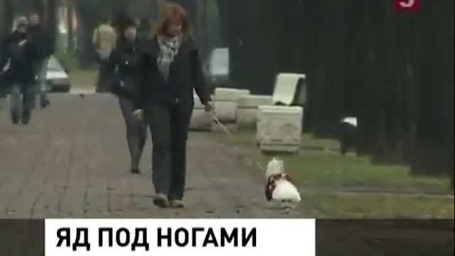 Догкиллеры - враги всего живого смотреть онлайн